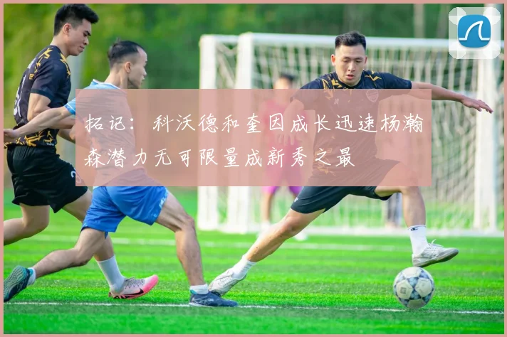 拓记：科沃德和奎因成长迅速杨瀚森潜力无可限量成新秀之最