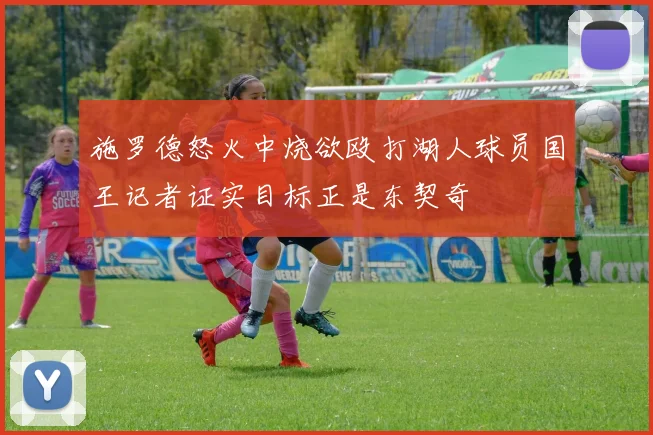 施罗德怒火中烧欲殴打湖人球员国王记者证实目标正是东契奇