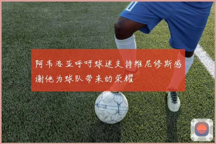 阿韦洛亚呼吁球迷支持维尼修斯感谢他为球队带来的荣耀